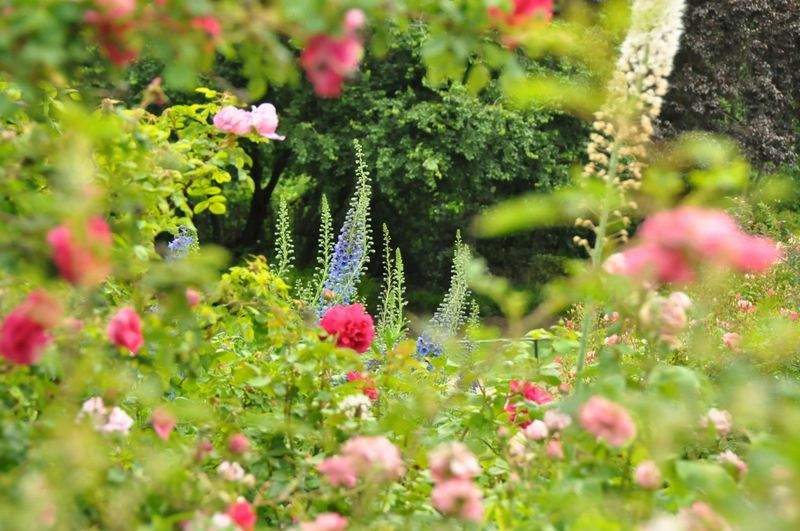 Seasonal Garden Refresh Workflow