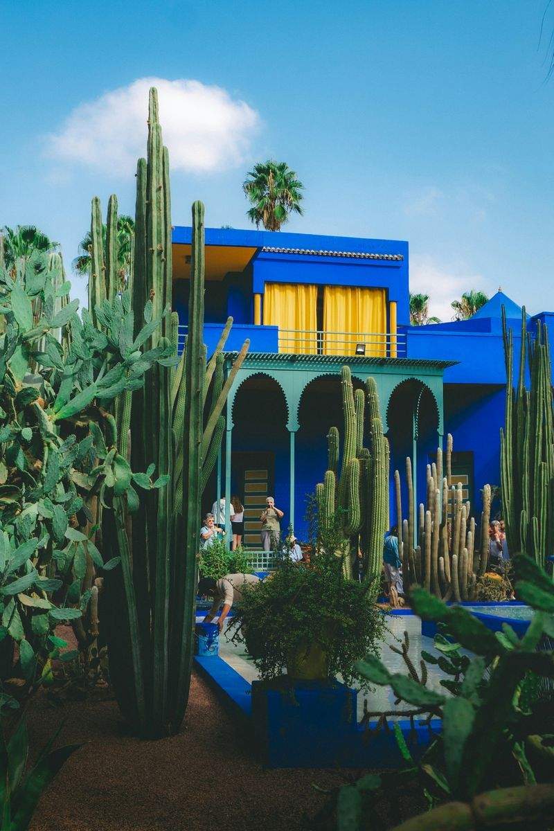 Garden design and planting