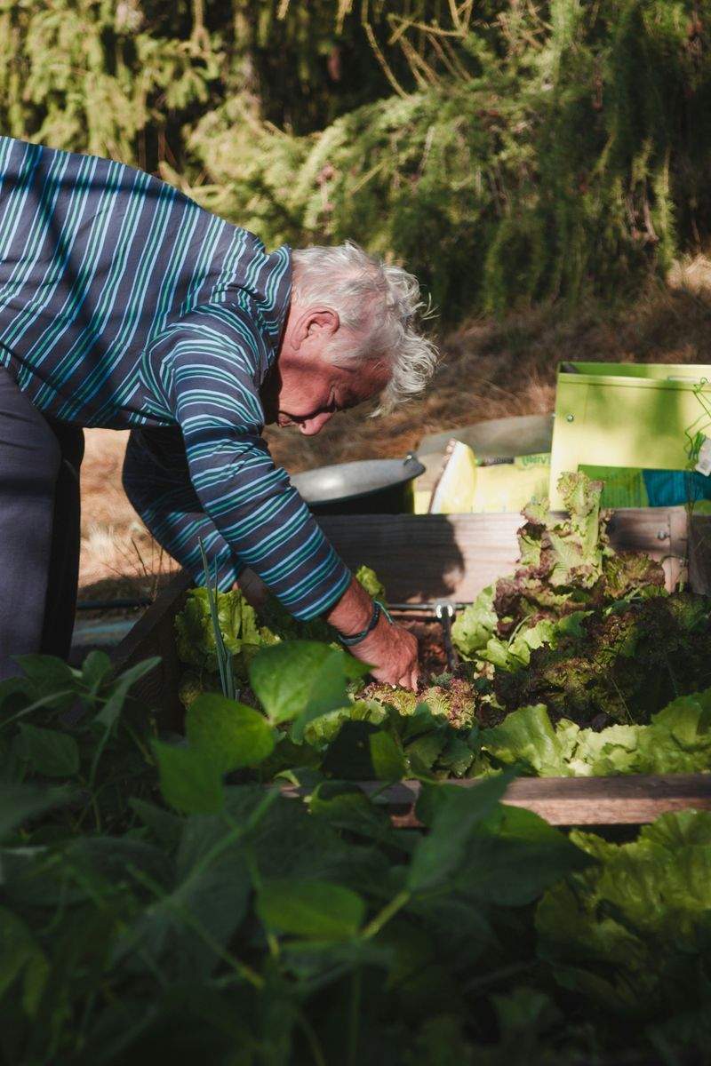 Seasonal cleanups